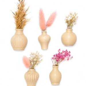 RUDRILA Mini Vase Fridge Magnets, Set of 5, Beige